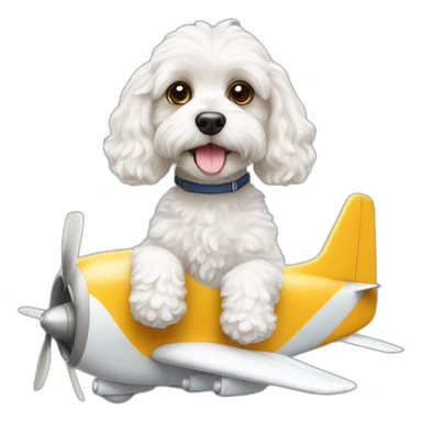 White cavapoo in an airplane sticker