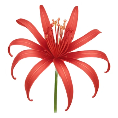Red spider lily sticker