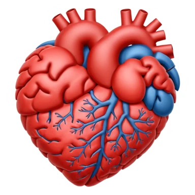 Brain and heart sticker