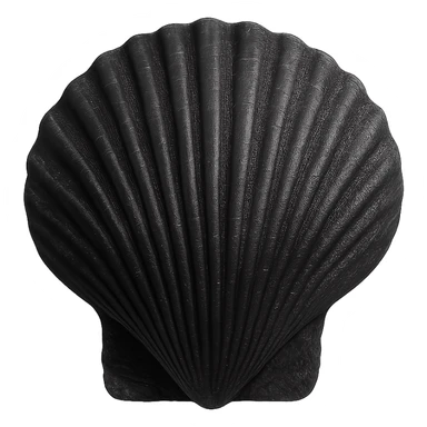 Black seashell, remove background sticker