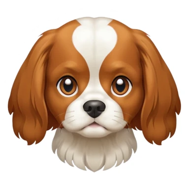 Cavalier King Charles Spaniel dog Preliminary Acceptance Inspection sticker