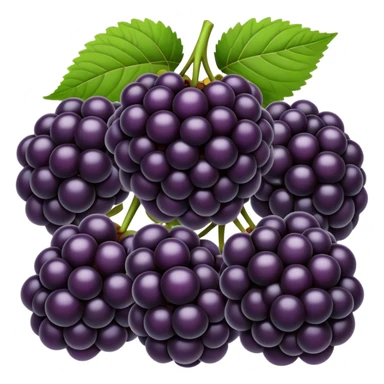 Blackberries  sticker
