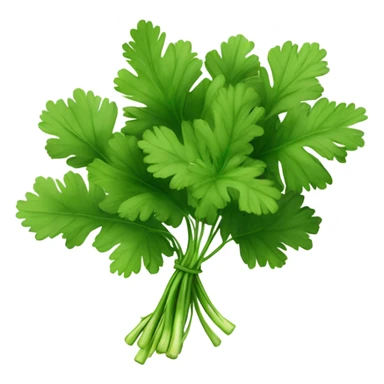 Cilantro  sticker