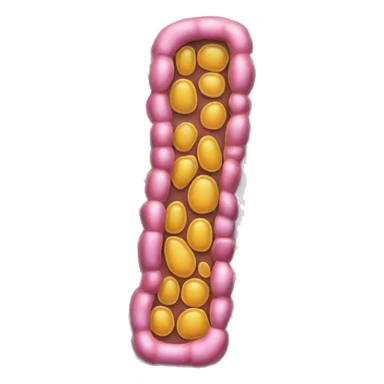 draw a cell membrane cutout from the side sticker