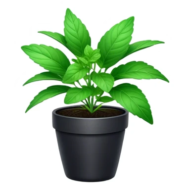 Cinematic Realistic Mint Emoji, Fresh and lively, with deep green leaves covered in tiny veins, emanating a cool, refreshing aroma. The plant’s soft, rounded edges sway gently in the breeze, inviting calm and relaxation. Soft glowing outline, capturing the essence of freshness and cooling fragrance in a fragrant mint plant! sticker