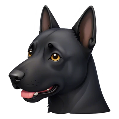 Malinois couleur noir   sticker