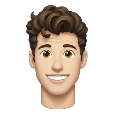 Shawn mendes sticker