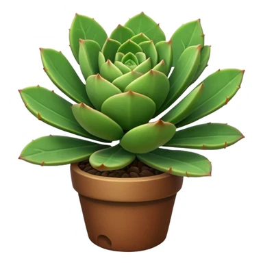 south african spekboom plant sticker