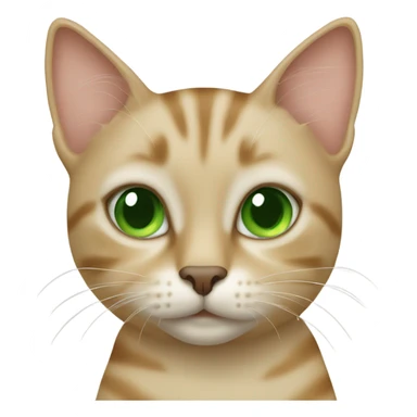 Beige tabby cat with green eyes sticker