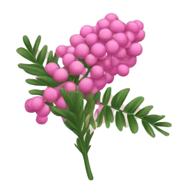 pink mimosa sticker