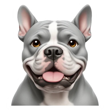 Gray American bully with ears cropped ￼ sticker