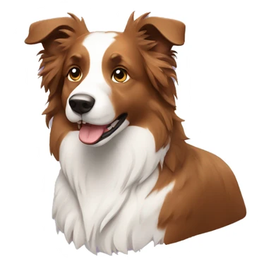 Border collie con poco pelo sticker