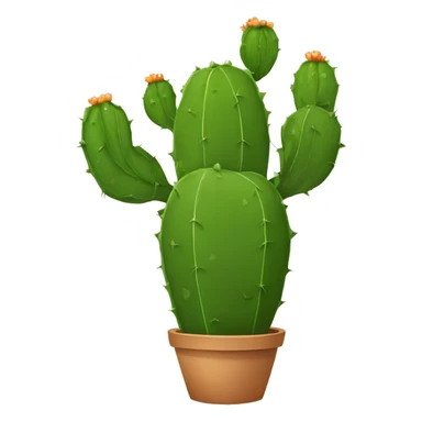 single flat Nopal without pot sticker