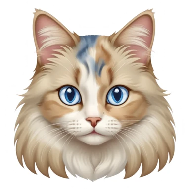 Long haired dilute calico with blue eyes sticker