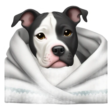 Black and White pit-bull wrapped in a blanket  sticker