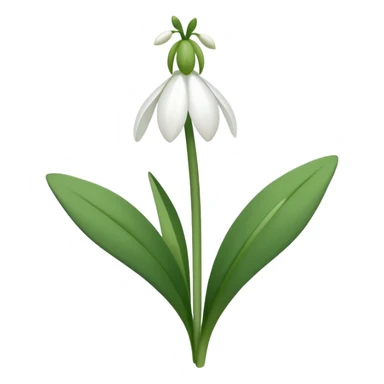 Snowdrop sticker
