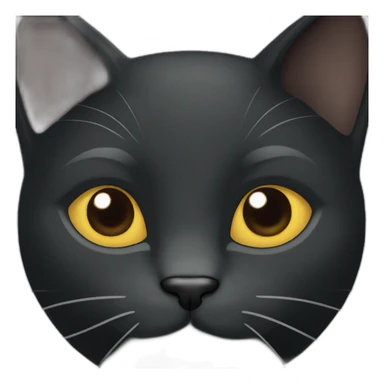A profile photo of a black cat sticker