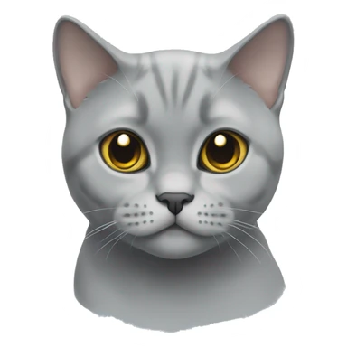 british shorthair silver shaded sticker