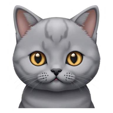 Head of british shorthair kitten sticker