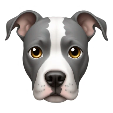 pitbull white with a gray circle around the right eye sticker
