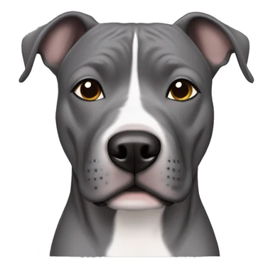 grey staffordshire terrier with grey eyes sticker