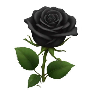 black rose  sticker