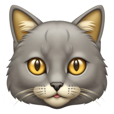 graue fluffige katze brittisch lang haar graue nase süß sticker