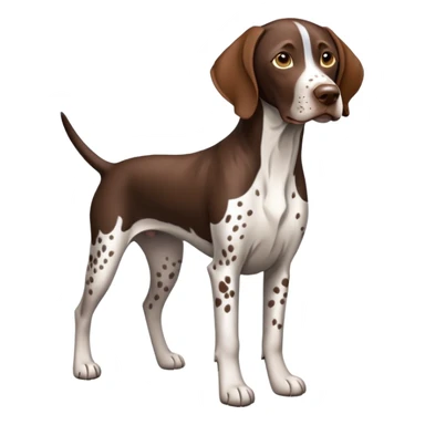 German shorthair pointer sticker