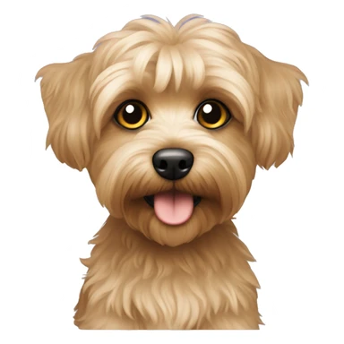 Yorkipoo sticker