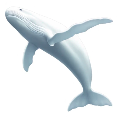 white whale , underside sticker