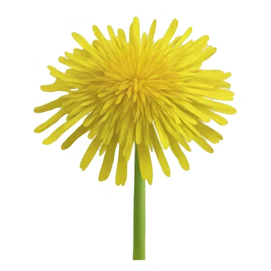 yellow dandelion sticker
