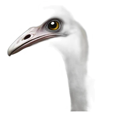Full ostrich sticker
