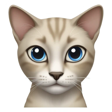 Thai breed cat with a light cream-brown body, dark gray face, ears, and paws. Short fur, sharp ears, and striking light blue eyes with an intense gaze. sticker