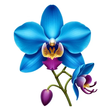 royal blue and cyan orchid sticker