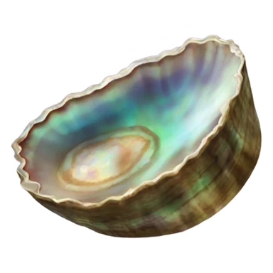 Abalone sticker