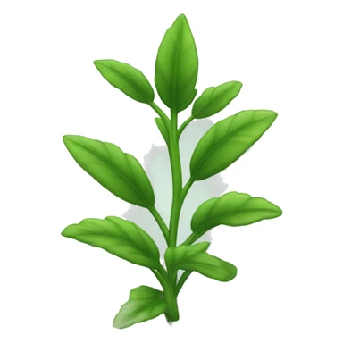  a plant with a thin, slightly hairy green stem. The leaves are oval, pointed, slightly serrated, and dark green in color. They are arranged in opposite pairs along the stem. sticker