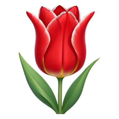 tulipa com bordas brancas sticker