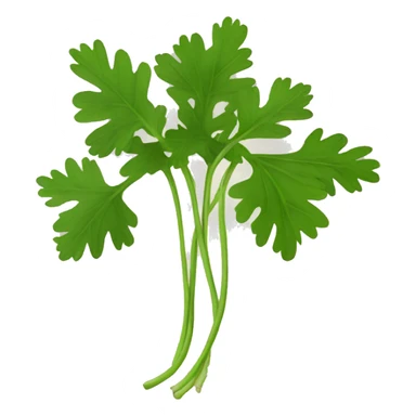 coriander sticker