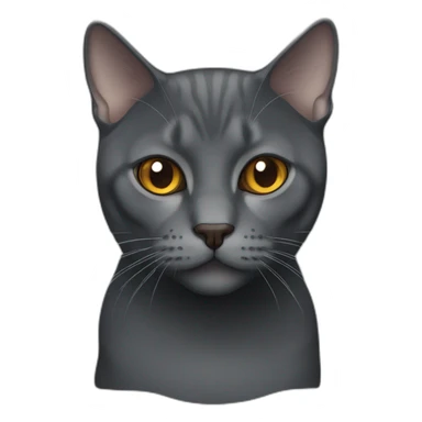 dark grey brittish shorthair cat with caramel eyes sticker