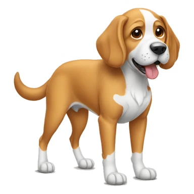 Dog wearing shoe sticker