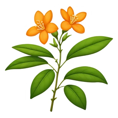 single Orange Jasmine, straight stem sticker