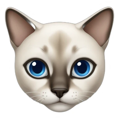 siamese cat blue eyes sticker