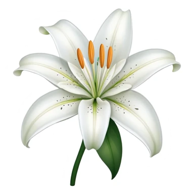 elegant white lily flower with six petals sticker