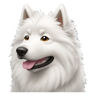 perro samoyedo sticker