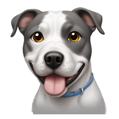 Staffie chien une oreille blanche et l’autre gris  sticker