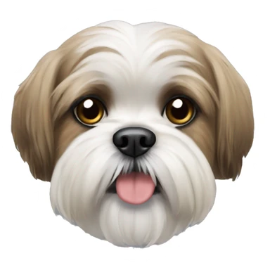 Shihtzu cross shnauzer sticker