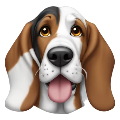 Bassethound tricolor sticker