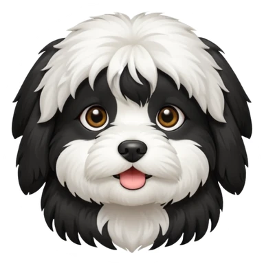 cute and bold havanese female dog black and white sticker