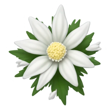 Edelweiss flower sticker