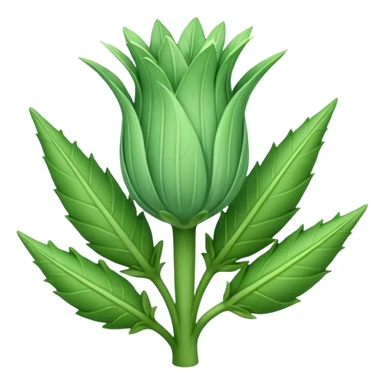 Sugarloaf chicory or Pan di Zucchero sticker